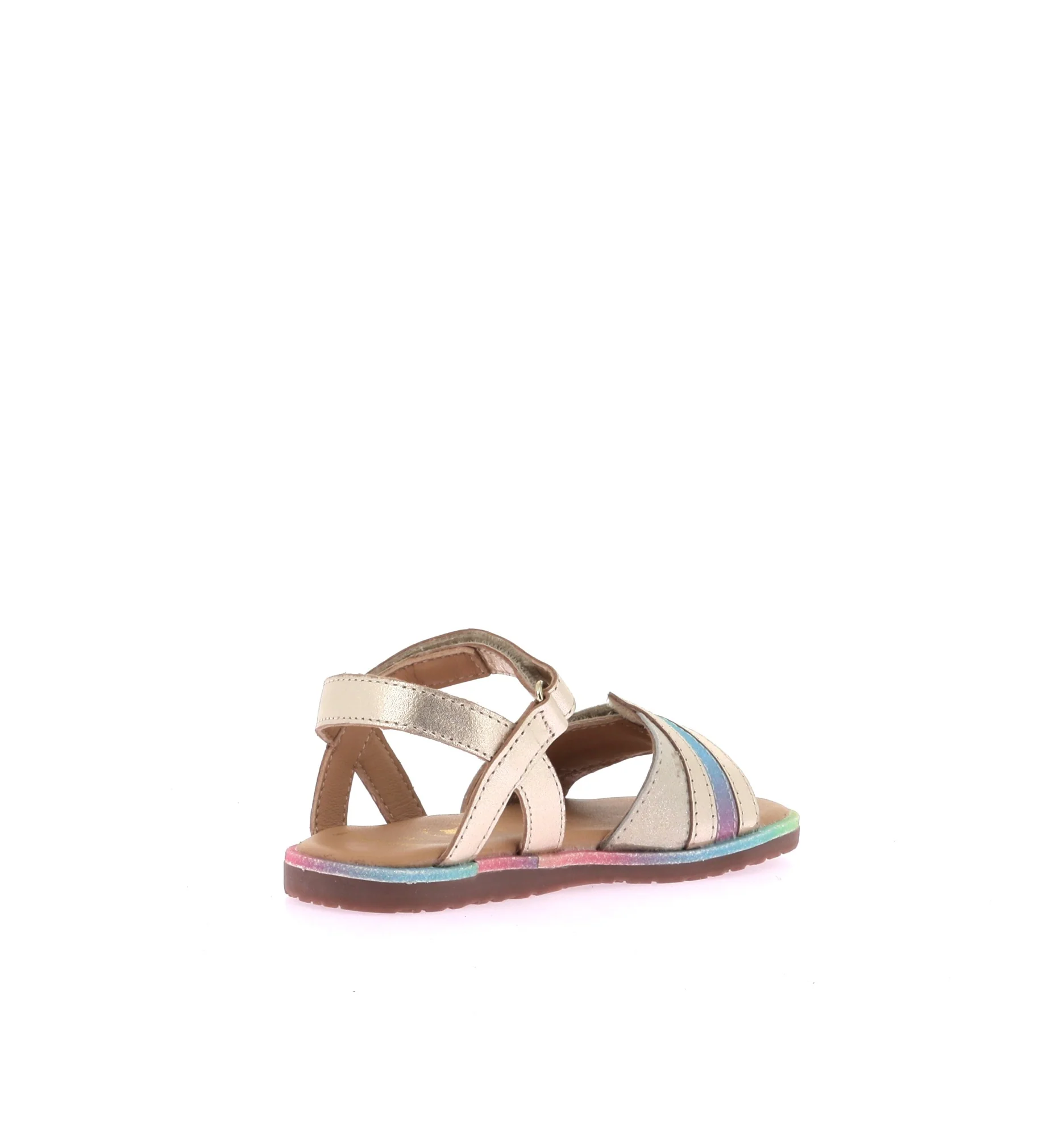 ANIS - Image 4