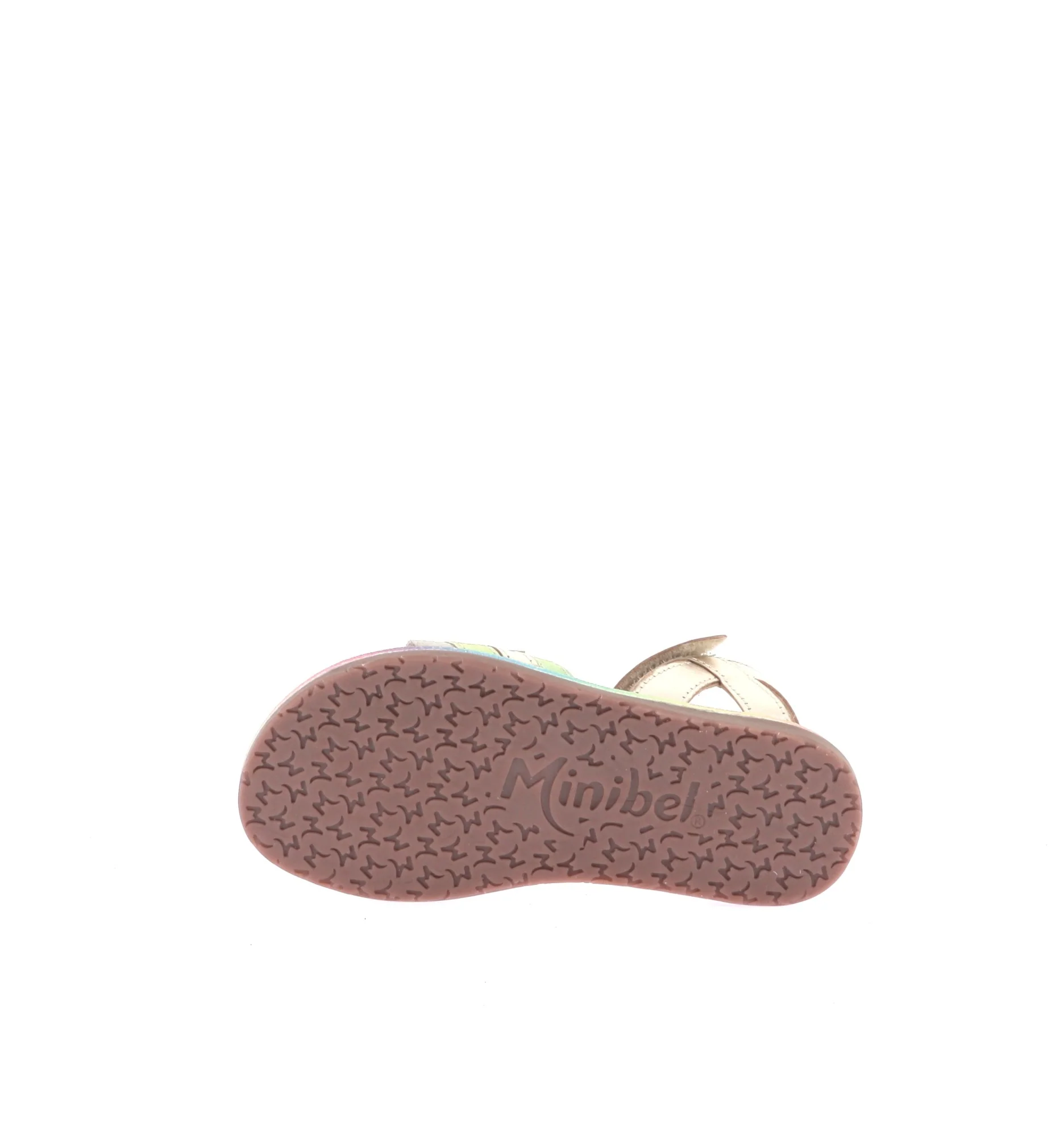 ANIS - Image 6