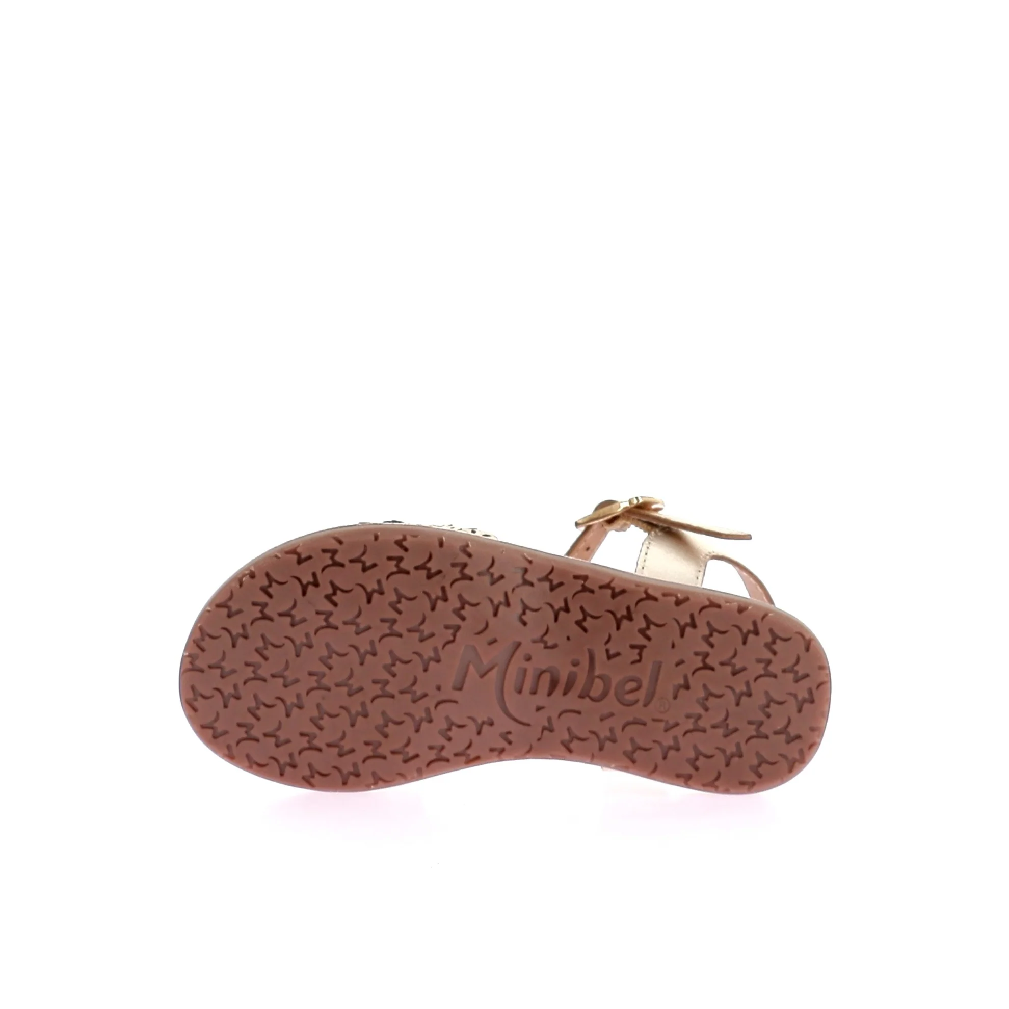 EGLANTINE - Image 6