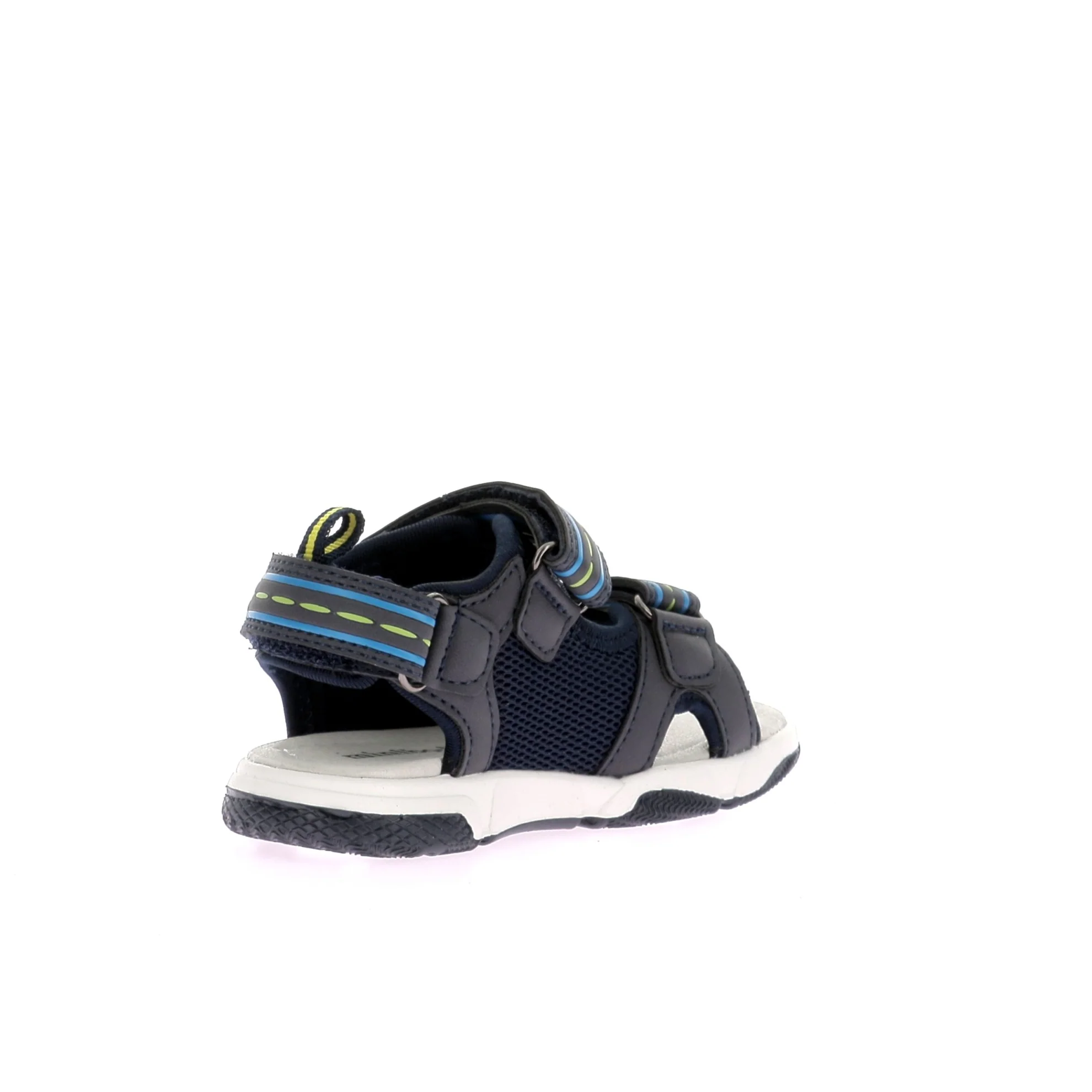 MINI-TRICERATOP - Image 4