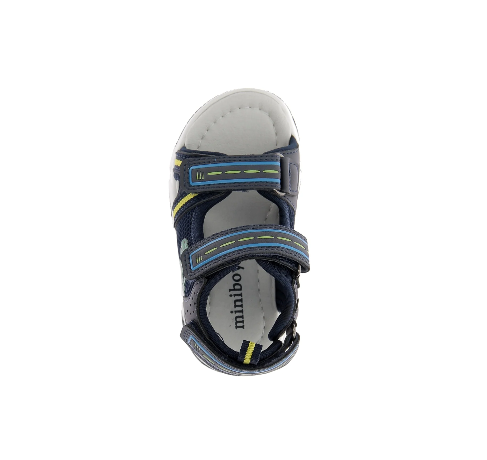 MINI-TRICERATOP - Image 5