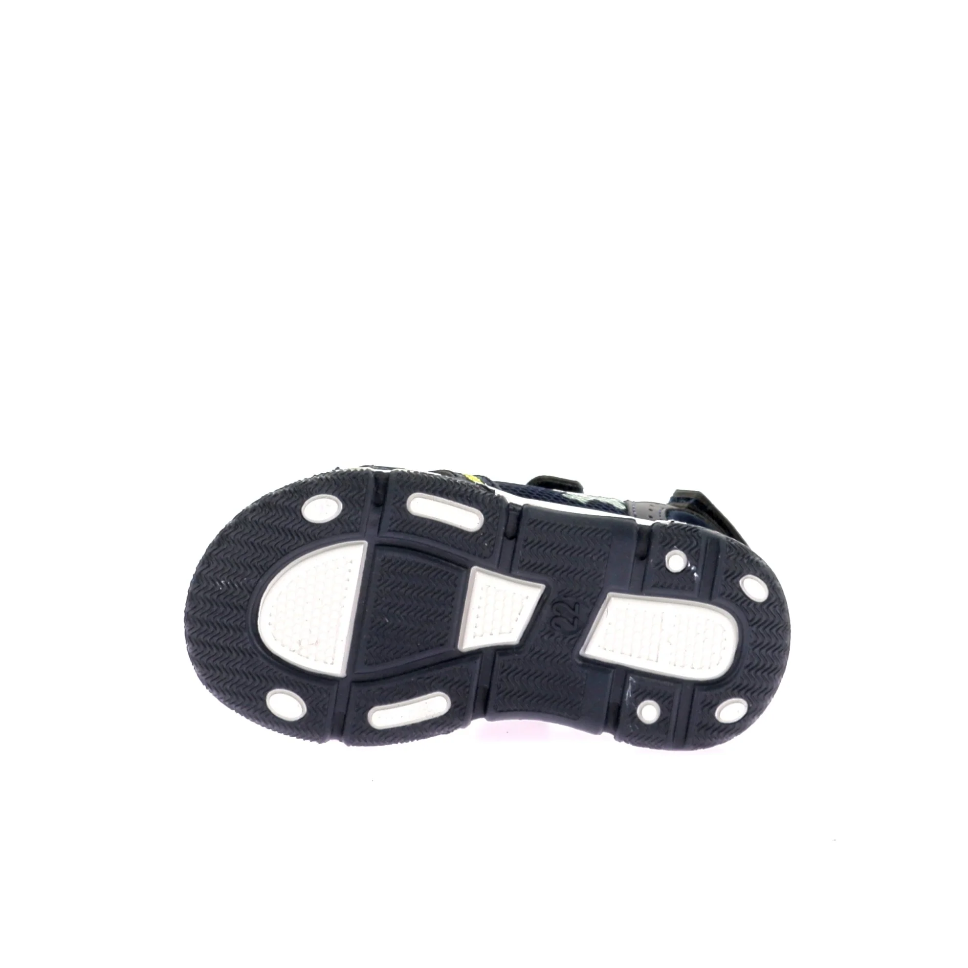 MINI-TRICERATOP - Image 6